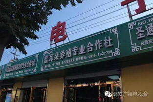 延長有機農特產品直銷市場暨電子商務體驗區 開啟電子產品批發零售新篇章